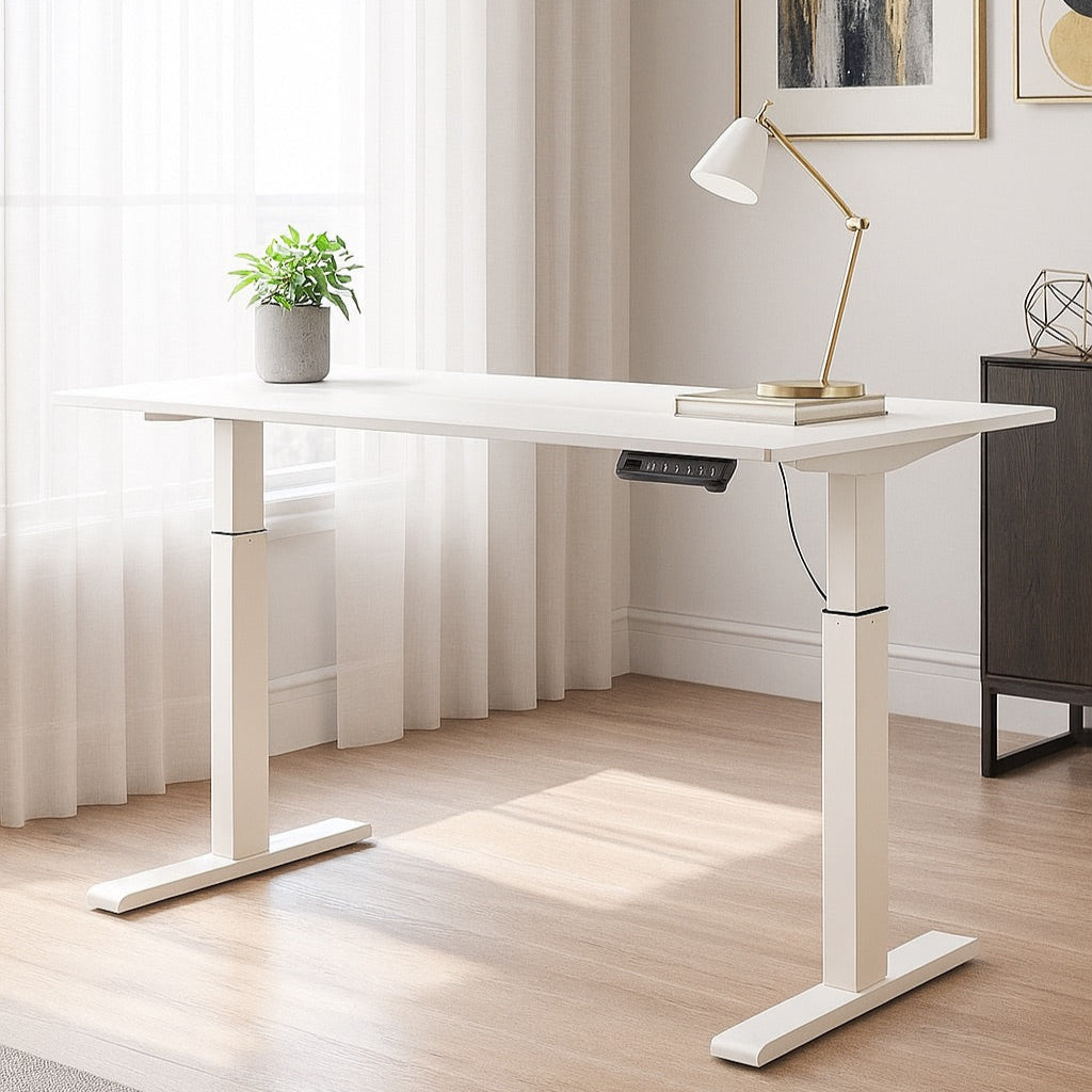 55" Electric Standing Desk