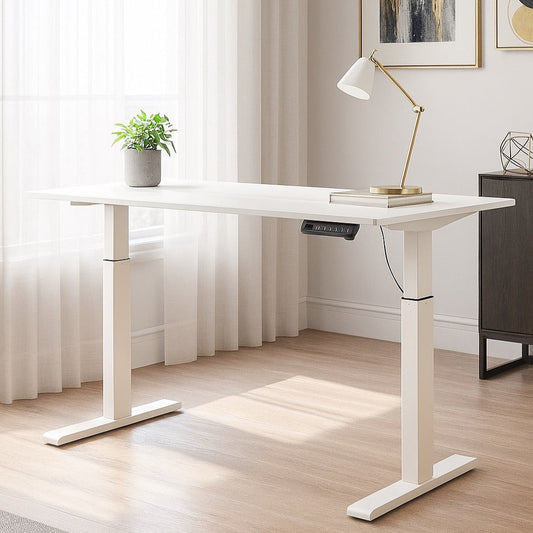 55" Electric Standing Desk