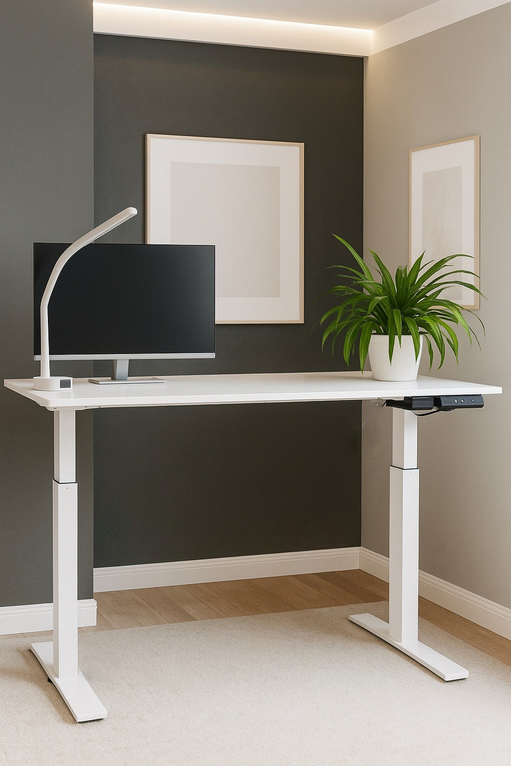 55" Electric Standing Desk
